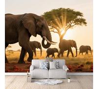Wall Murals Elephant Photo Wallpaper Mural 3D, Non-Woven Wallpaper, Modern Decoration Poster Picture African Sunset Savanna Elephants Wall Mural for Living Room Bedroom 500 × 280 cm (W x H)