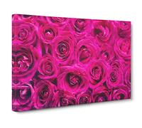 Wall Of Bright Pink Roses Canvas Print | Gallery Wrapped 30mm Frame Wall Art | 20x14 inches | Ready to Hang | Modern Floral Picture | Living Room Bedroom Lounge Office