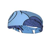 Wall Of WalrusHair Bands for Men Woman Headband Running Headband Sweat Wicking Gym
