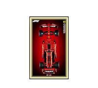 Wall Picture for Lego 42207 Racing Car 42206 Racing Car - Wall Picture Frame, Display Stand, Wall Frame for Racing Car Building Kit, Wall Picture Frame - 80 x 50 cm (42207
