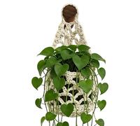 Wall Plant Holder Decorative Space Saver - Cotton Wicker, Flower Pot Holder, Boho Style for Flower Pot Indoor Bedroom Living Room Kitchen Multipurpose Outdoor Indoor Utility