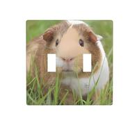 Wall Plate Cute Guinea Pig Prints Toggle Light Switch Covers Decorator 2 Gang Outlet Plate Heat Resistant 4.5X4.5 in