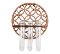 Wall Propagation - Set of Transparent Hydroelectric Growth Canisters, Vertical Art Showcase on Nature, Hanging Structure for Root Display, Flor Arrangement