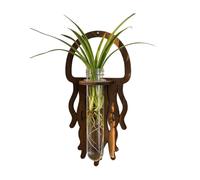 Wall Propagation Station - Jellyfish Wood Room Decoration | Wall Mount Planter Terrariums | for Growers Beginners Professionals Home Office Living Room Kitchen Bedroom