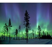 Wall Rogues WR50512 Aurora Borealis/Northern Lights - Paste The Wall Wallpaper Mural - 300cm x 240cm - Blue