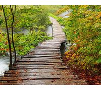 Wall Rogues WR50530 3 x 2.4 m "Path to Enlightenment" Mural Wallpaper - Green