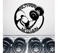 Wall Sticker Art Decal Vinyl Mural Gym Muscle Hand Dumbbell No Pain No Gain Gym Port Poster 42*42Cm