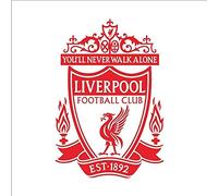 Wall Sticker Art Wall Decal 3D Liverpool Self Adhesive Football Club 58X85Cm