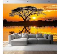 Wall Stickers African Grassland Albizia Tree Wallpaper Yellow Sunset Wall Murals Photo Wallpaper Bedroom Living Rooms Decoration Poster 500 x 280 cm (W x H)