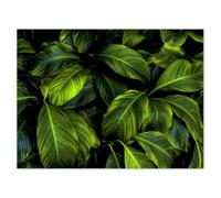 Wall Stickers Decor Photo Sticker 40x30cm Beautiful Green Leaves No. H10697M_NS1A