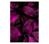 Wall Stickers Decor Photo Sticker 59.40x84.10cm Beautiful Fuchsia Leaves No. H10693M_NS1A1