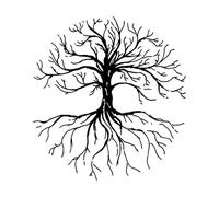 Wall Stickers Forest Tree Branches Roots Autumn 54x57.9cm Multi Color Selection Black