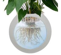 Wall Vases for Flowers Terrarium Globe Bowl Airplant Holder Propagation