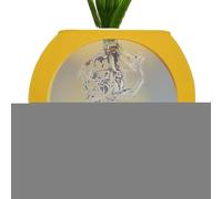 Wall Vases - Silicone Globe Flower Pot Holder | Clear Terrarium Vase Wall Mount Bowl | Strong Adhesive Planter with Air Plant Decoration | Compact Vertical Display Vase for Living Room |