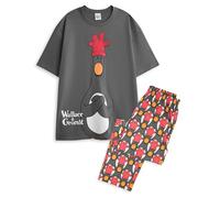 Wallace and Gromit Mens 2 Piece Pyjama Set | Adults Grey and Red All Over Print Long Leg Bottoms and Short Sleeve Night Top | Evil Penguin Feathers McGraw Graphic Print PJs | Animated Comedy Movie