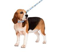 Wallace & Gromit's Urban Pup Dog Collar (Small - Dog Neck Circumference, adjusts: 8" to 11" / 20cm to 28cm)
