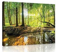 WallArena - Canvas Art - Forest, nature, landscape, sun - O20 (120 x 80 cm) Prints - Picture On Canvas - XXL Large Wall Art For Living Room & Bedroom - Modern Living Room Wall Art - Art Canvas Print