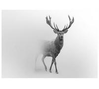 Wallarena Photo Wallpaper Animals Deer Fog Non-Woven Wall Mural Modern 300X210 Cm