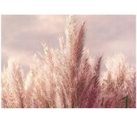 Wallarena Photo Wallpaper Boho Nature Bedroom Non-Woven Wall Mural Modern 350X250 Cm