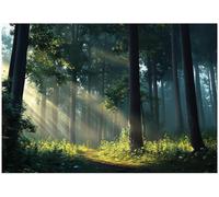 Wallarena Photo Wallpaper Forest 3D Bedroom Non-Woven Wall Mural Modern 250X175 Cm