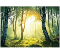 Wallarena Photo Wallpaper Forest 3D Bedroom Non-Woven Wall Mural Modern 350X250 Cm