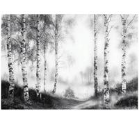 Wallarena Photo Wallpaper Forest 3D Trees Black White Non-Woven Wall Mural Modern 350X250 Cm