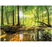 Wallarena Photo Wallpaper Forest 3D Trees Green Non-Woven Wall Mural Modern 350X250 Cm