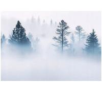 Wallarena Photo Wallpaper Forest 3D Trees Green Non-Woven Wall Mural Modern 400X280 Cm