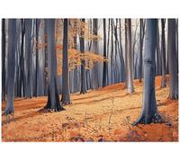 Wallarena Photo Wallpaper Forest 3D Trees Non-Woven Wall Mural Modern 250X175 Cm