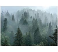 Wallarena Photo Wallpaper Forest Fog Bedroom Non-Woven Wall Mural Modern 350X250 Cm