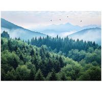 Wallarena Photo Wallpaper Forest Fog Nature Bedroom Non-Woven Wall Mural Modern 350X250 Cm