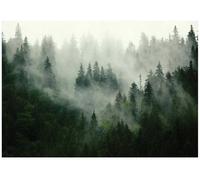 Wallarena Photo Wallpaper Forest Fog Trees Green Non-Woven Wall Mural Modern 300X210 Cm + Paste