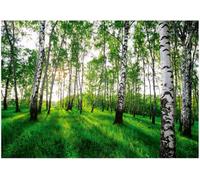 Wallarena Photo Wallpaper Forest Green Trees Non-Woven Wall Mural Modern 400X280 Cm