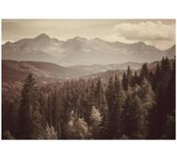 Wallarena Photo Wallpaper Forest Nature 3D Non-Woven Wall Mural Modern 400X280 Cm