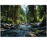 Wallarena Photo Wallpaper Forest Nature River Non-Woven Wall Mural Modern 250X175 Cm