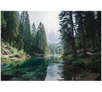 Wallarena Photo Wallpaper Forest Trees Wall Mural Non-Woven Modern 300X210 Cm