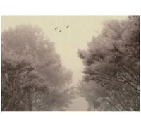 Wallarena Photo Wallpaper Forest Vintage Wall Mural Non-Woven Modern 400X280 Cm