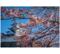 Wallarena Photo Wallpaper Living Room Cherry Blossom Tree Non-Woven Wall Mural Modern 400X280 Cm
