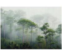 Wallarena Photo Wallpaper Living Room Forest Fog Non-Woven Wall Mural Modern 300X210 Cm