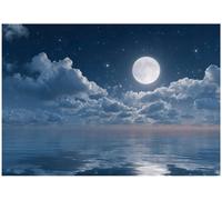 Wallarena Photo Wallpaper Moon Sea Night Mural Non-Woven Modern 300X210 Cm