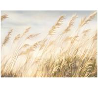Wallarena Photo Wallpaper Pampas Grass Beige Boho Nature Non-Woven Wall Mural Modern 400X280 Cm