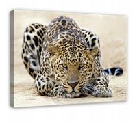 Wallarena Printed Canvas Wall Art Animals Jaguar Large Pictures Wall Home Decor 120X80 Cm