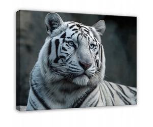 Wallarena Printed Canvas Wall Art Animals Tiger Large Pictures Wall Home Decor 120X80 Cm