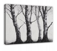 Wallarena Printed Canvas Wall Art Forest Trees Black And White Large Pictures Wall Home Decor 120X80 Cm