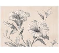 WallArena Vinyl Textured Photo Wallpaper Flowers 100" x 72"