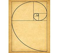 Wallbuddy Fibonacci Poster Golden Spiral Poster Mathematics Poster Maths Poster Fibonacci Series Science Poster Science Print Scientific Art WB203 (16 x 20, Vintage)