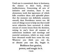 Wallbuddy Goethe Philosophy Quote Motivational & Inspirational Art (18 x 24, White)