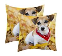 WALLDOR Russel Jack Terrier Puppy Dog Cushion Covers, 2 Pack Square Throw Pillow Covers Decorative Soft Velvet Pillowcase for Couch Sofa Bed Car Living Room, 45x45cm