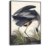 Wallfillers Great Blue Heron - John James Audubon - Birds of America Print