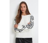 Wallis Floral Embroidered Sleeve Jumper In Ivory ivory